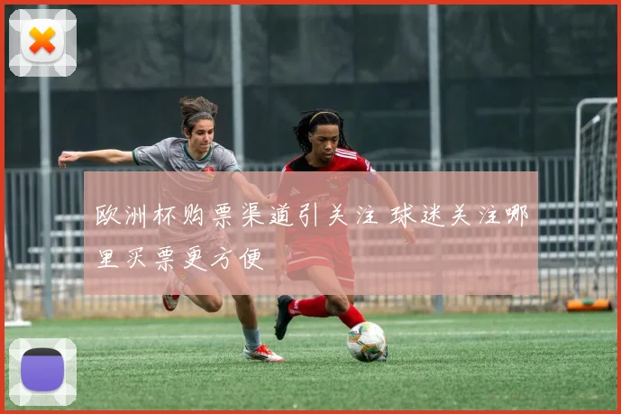 欧洲杯购票渠道引关注 球迷关注哪里买票更方便