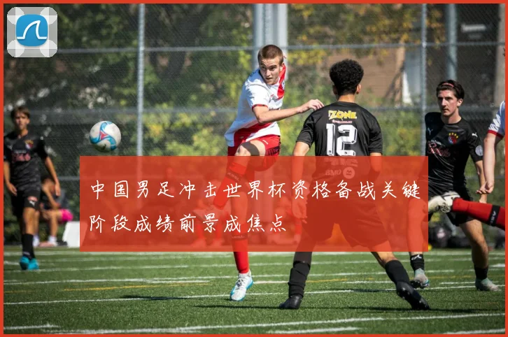 中国男足冲击世界杯资格备战关键阶段成绩前景成焦点