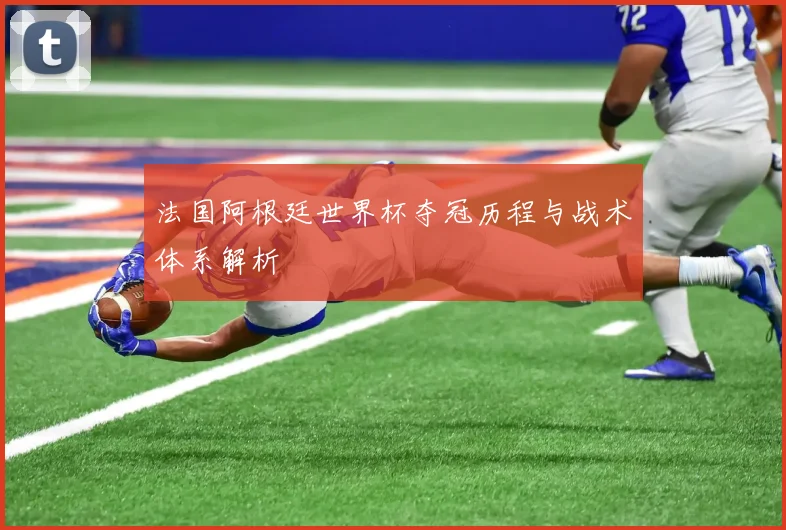 法国阿根廷世界杯夺冠历程与战术体系解析